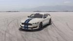 Shelby GT350 Heritage Edition 2019 года